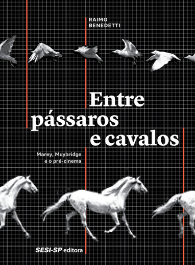Livro "Entre Pássaros e Cavalos" - Foto: Raimo Benedetti/Divulgação