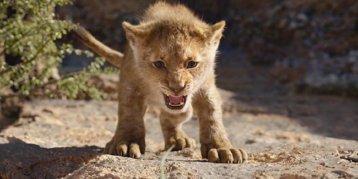 "O Rei Leão" (The Lion King, 2019) - Foto: Disney/Divulgação