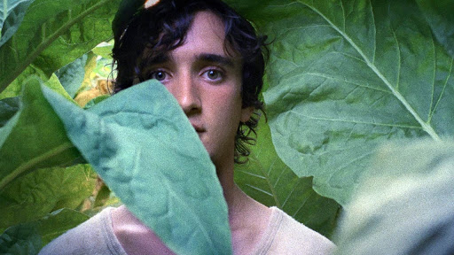 "Feliz como Lázaro" (Lazzaro Felice, 2018, Itália), de Alice Rohrwacher - Divulgação