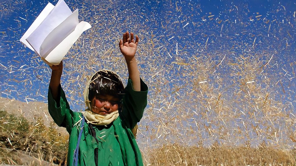 "E Buda Desabou de Vergonha" (Buda as Sharm Foru Rikht, 2007), de Hana Makhmalbaf - Divulgação