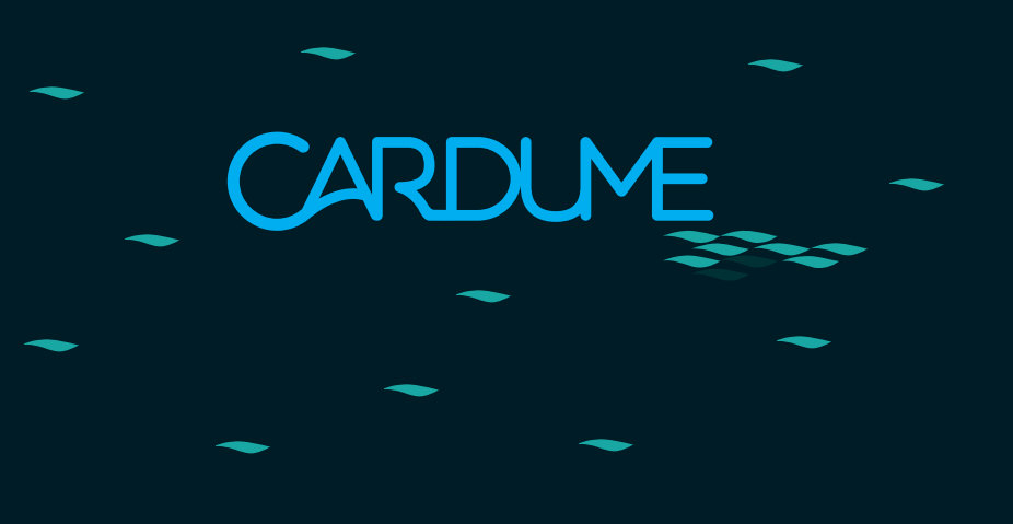 Cardume - Divulgação