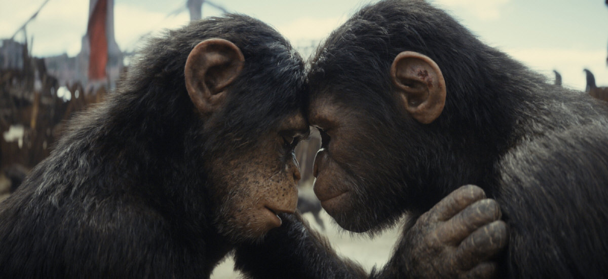 "Planeta dos Macacos: O Reinado" (Kingdom of the Planet of the Apes, 2024), de Wes Ball - 20th Century Studios/Divulgação