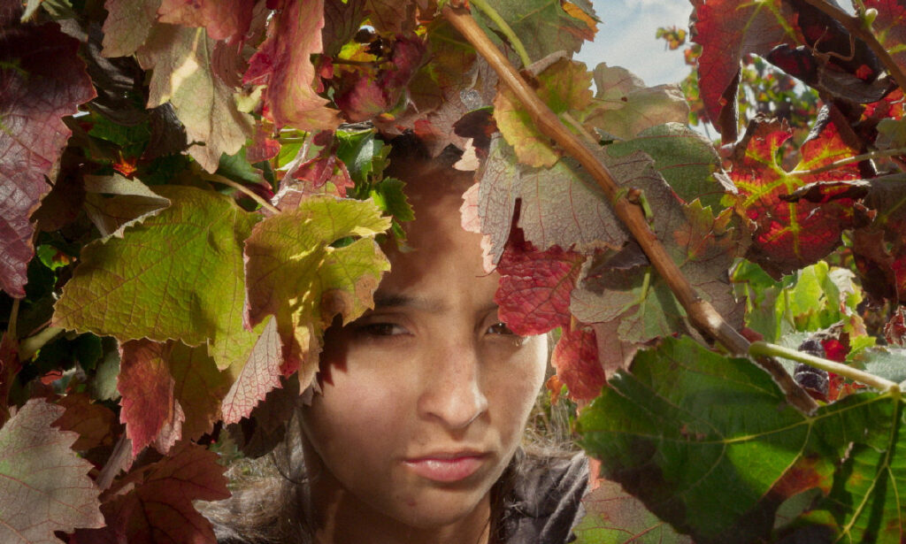 "Fogo do Vento" (2024), de Marta Mateus - Divulgação