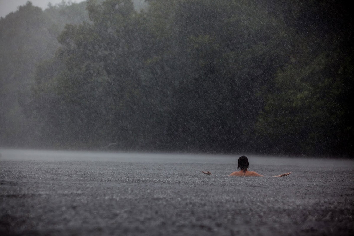 "O Jabuti e a Anta" (2016), de Eliza Capai - Foto: Divulgação